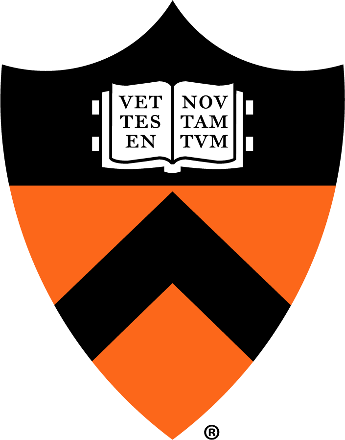 Princeton Tigers 2007-Pres Alternate Logo diy iron on heat transfer